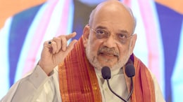 Punjab BJP Delegation Meets Amit Shah, Raises Issues Related To Border Districts