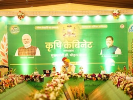 MP कृषि कैबिनेट के बड़े फैसले: भावांतर योजना में सरसों शामिल, वरला-पानसेमल सिंचाई परियोजना को मंजूरी