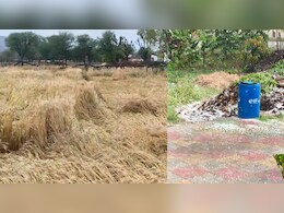 Weather Alert: राजस्&zwj;थान में बार&zwj;िश और अत&zwj;िवृष्&zwj;ट&zwj;ि से फसल चौपट, CM भजनलाल शर्मा ने कर द&zwj;िया ऐलान&nbsp;