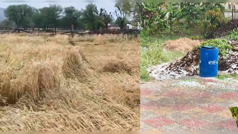 Weather Alert: राजस्&zwj;थान में बार&zwj;िश और अत&zwj;िवृष्&zwj;ट&zwj;ि से फसल चौपट, CM भजनलाल शर्मा ने कर द&zwj;िया ऐलान&nbsp;