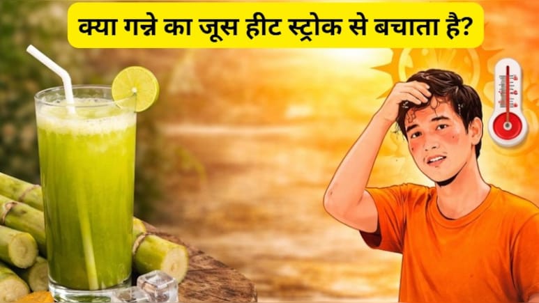 क्या गन्ने का जूस हीट स्ट्रोक से बचाता है? डायबिटीज में गन्ने का जूस पीना चाहिए या नहीं? यहां जानें | Sugarcane FAQs