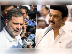 "A Big Joke, Politically Immature": DMK's All-Out Attack On Rahul Gandhi