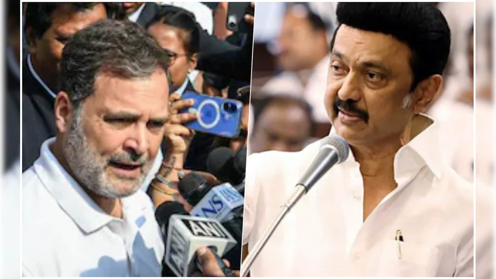 “A Big Joke, Politically Immature”: DMK’s All Out Attack On Rahul Gandhi