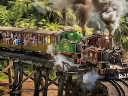 This Melbourne Forest Ride Lets Travellers Sit On The Edge For The Best Views