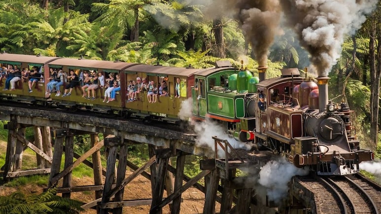 This Melbourne Forest Ride Lets Travellers Sit On The Edge For The Best Views