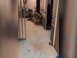 Iran News Israel Bombs Tehran's Gandhi Hospital, Visuals Show Damage Inside Iran News Israel Bombs Tehran's Gandhi Hospital, Visuals Show Damage Inside