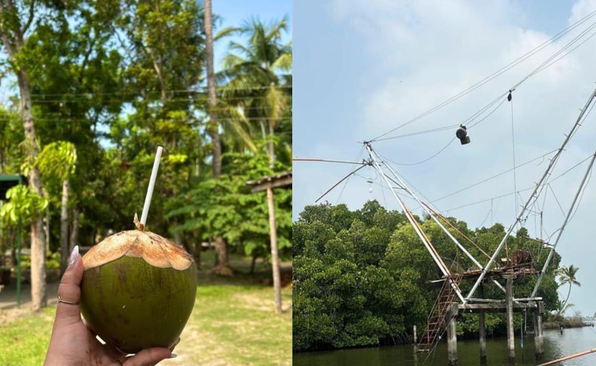 Latest and Breaking News on NDTV