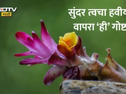 Kasturi Turmeric: राणी-महाराणींच्या सौंदर्याचे सीक्रेट, कस्तुरी हळद म्हणजे काय? काय आहेत फायदे? वाचा सविस्तर