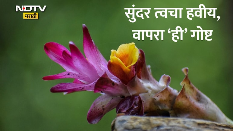 Kasturi Turmeric: राणी-महाराणींच्या सौंदर्याचे सीक्रेट, कस्तुरी हळद म्हणजे काय? काय आहेत फायदे? वाचा सविस्तर