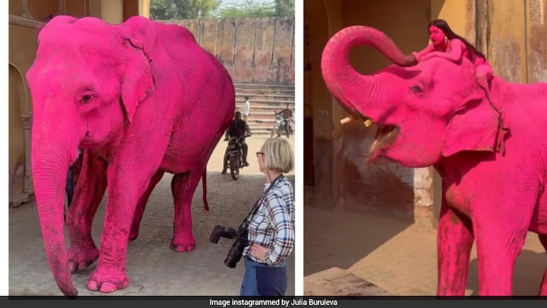 Artist At Centre Of Pink Elephant Row Breaks Silence, Starts Support Campaign: "False Claims For Hype"