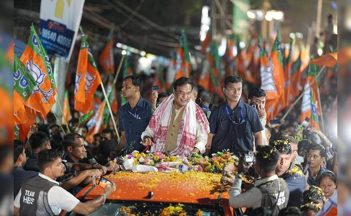 The Art of Baking: From Classic Bread to Artisan Pastries