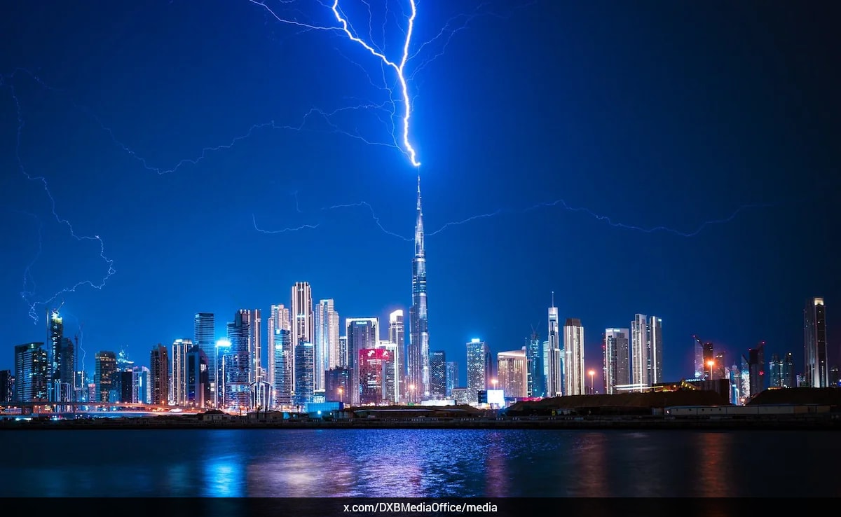 The Art of Baking: From Classic Bread to Artisan Pastries