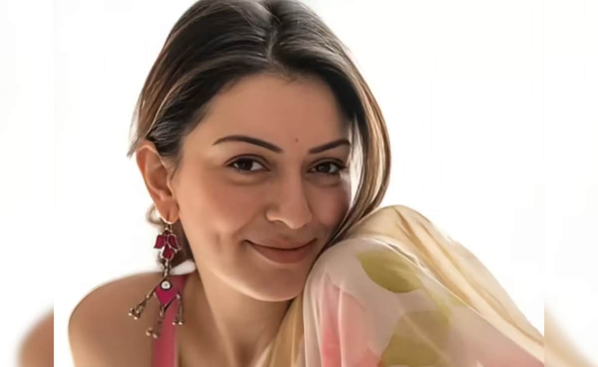 Hansika Motwani Divorce: हंसिका मोटवानी और सोहेल कथूरिया का तलाक, 2022 में हुई थी शादी, 2026 में टूटा रिश्ता