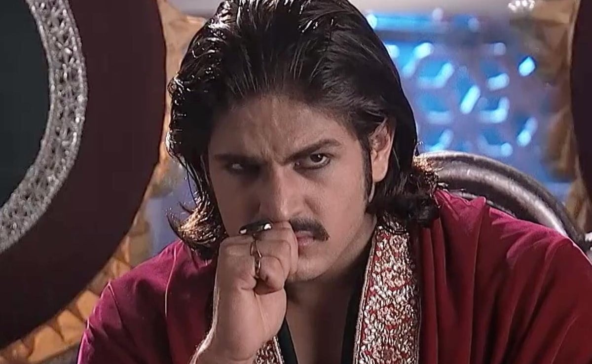 12 साल में रजत टोकस ने बनाई अलग पहचान, दाढ़ी-मूंछ में बदल गया पूरा रूप, लोग बोले- ये जोधा के अकबर हैं?