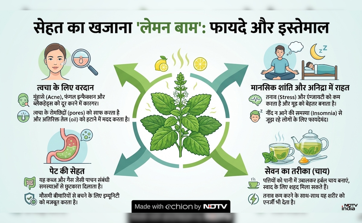 Latest and Breaking News on NDTV Latest and Breaking News on NDTV