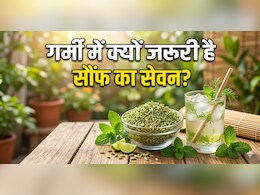 क्या आप जानते हैं गर्मियों में सौंफ का सेवन क्यों करना चाहिए? इन लोगों के लिए वरदान से कम नहीं...