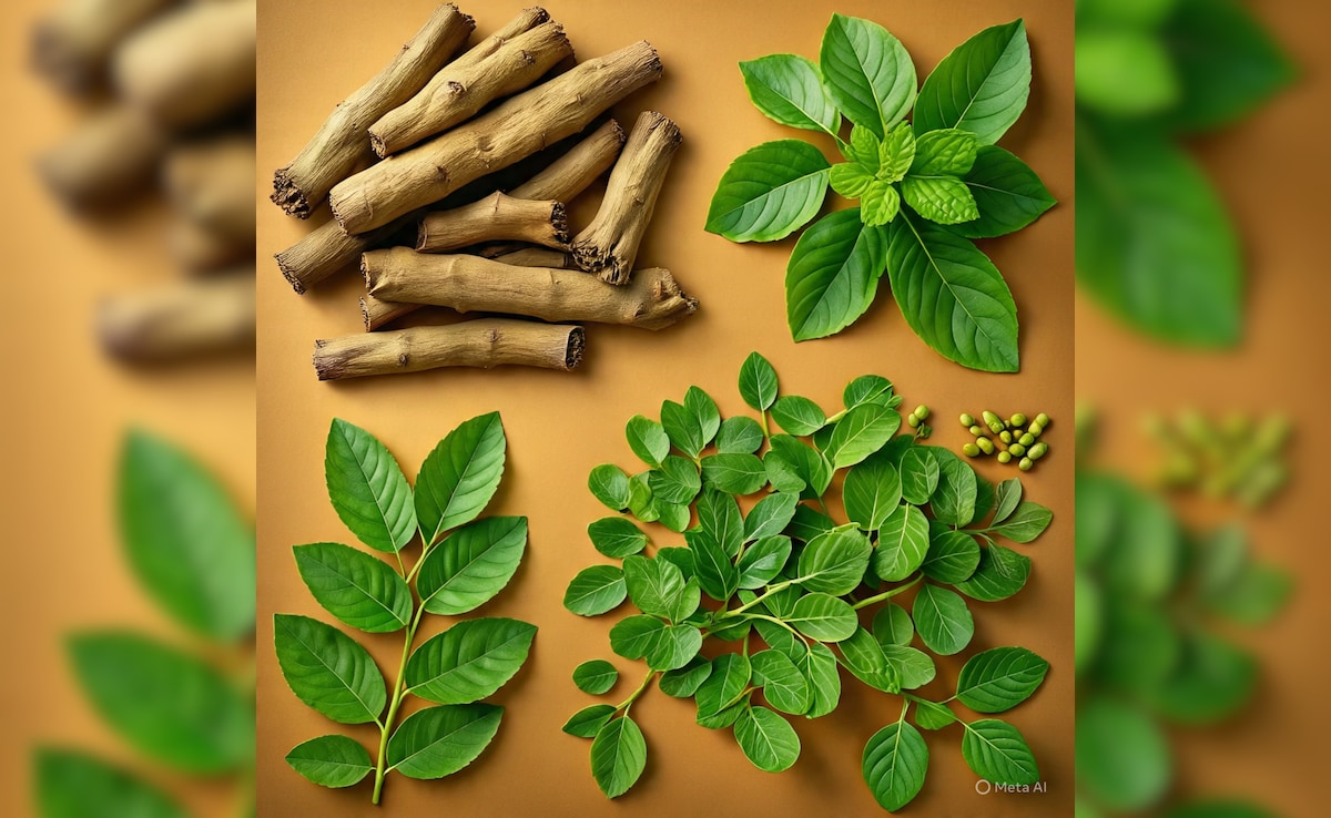 मोरिंगा-तुलसी और अश्वगंधा के सेवन से कौन सी बीमारी दूर होती है? डॉक्टर ने बताया...