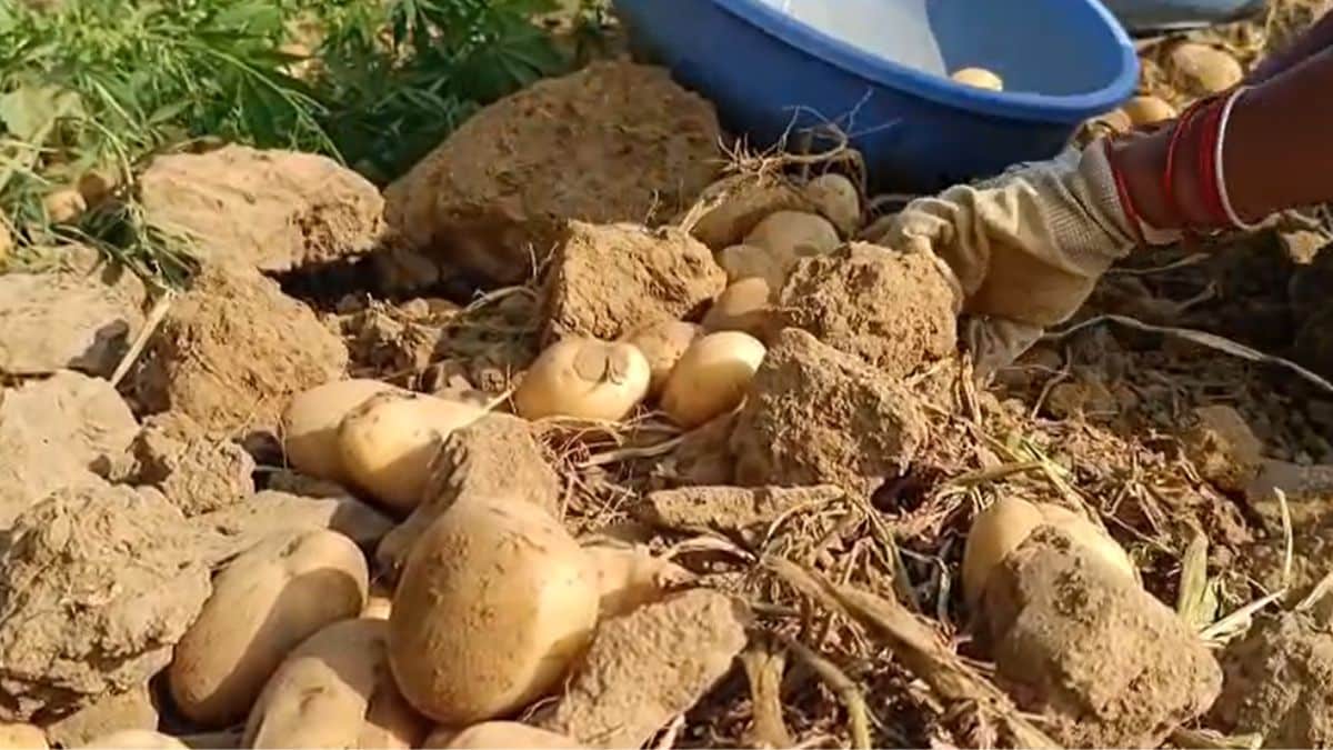 Latest and Breaking News on NDTV