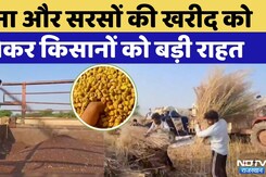 Baran News: Farmers को मिली बड़ी राहत | Rajasthan Top News | Viral Video | Mustard Price | Gram Price