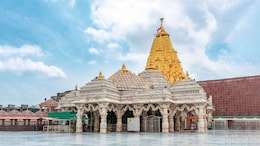 Viral Video Shows 'Party' At Junagadh Temple In Gujarat, 11 Suspended
