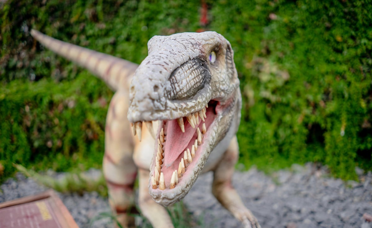 अमेरिका में मिला 20 करोड़ साल पुराना डायनासोर जैसा दिखने वाला अनोखा जीव, असलियत जान चौंके वैज्ञानिक