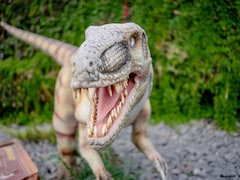 अमेरिका में मिला 20 करोड़ साल पुराना डायनासोर जैसा दिखने वाला अनोखा जीव, असलियत जान चौंके वैज्ञानिक