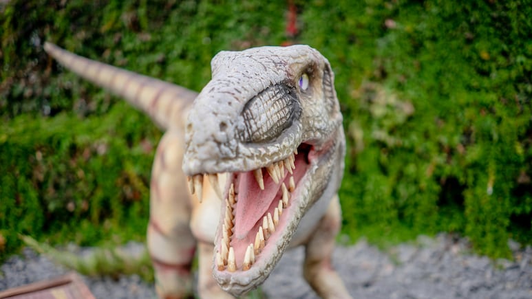 अमेरिका में मिला 20 करोड़ साल पुराना डायनासोर जैसा दिखने वाला अनोखा जीव, असलियत जान चौंके वैज्ञानिक