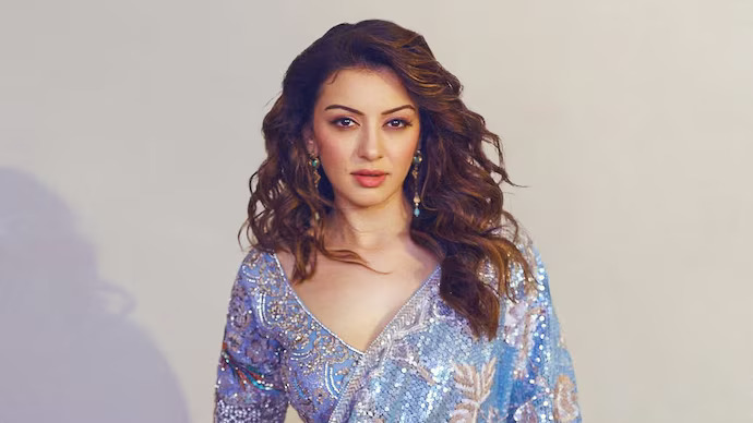 Hansika Motwani Shares First Post On Instagram After Divorce From Sohael Khaturiya