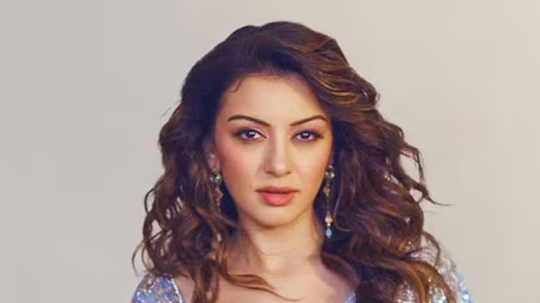 Hansika Motwani Shares First Post On Instagram After Divorce From Sohael Khaturiya