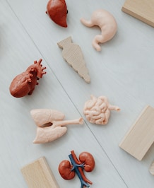 Warning Signs Of Kidney Disease