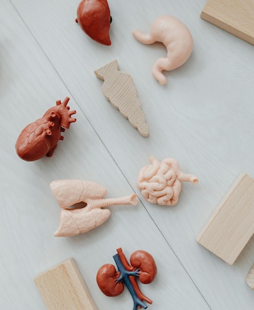 Warning Signs Of Kidney Disease