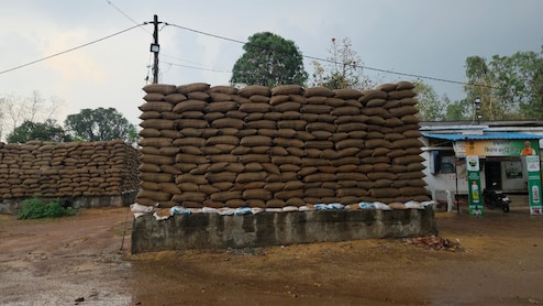 छत्तीसगढ़ में मौसम का यू-टर्न: आंधी-बारिश से ठंडक, धान को भारी नुकसान का खतरा