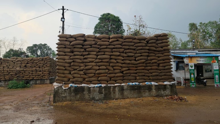 छत्तीसगढ़ में मौसम का यू-टर्न: आंधी-बारिश से ठंडक, धान को भारी नुकसान का खतरा