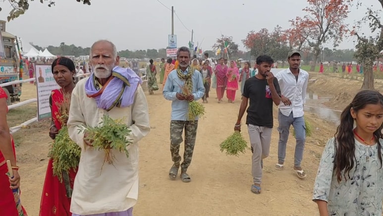 समृद्धि यात्रा में 'बहार' है, हरे चने की लूट! CM का भाषण चलता रहा, जनता खेत साफ करती रही