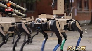 चीन ने खड़ी कर दी अपनी भेड़िया रोबोट आर्मी, मिसाइल-रॉकेट लॉन्चर से लैस होकर जानिए कैसे लड़ेंगे युद्ध