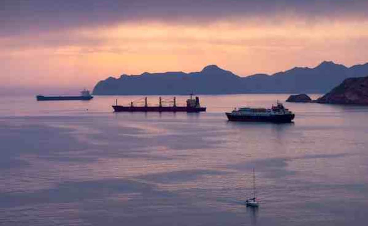 ट्रंप ने कहा था होर्मुज से जहाजों को सुरक्षित निकालेंगे, अमेरिका सेना कह रही-अभी ऐसा करने में हम सक्षम नहीं