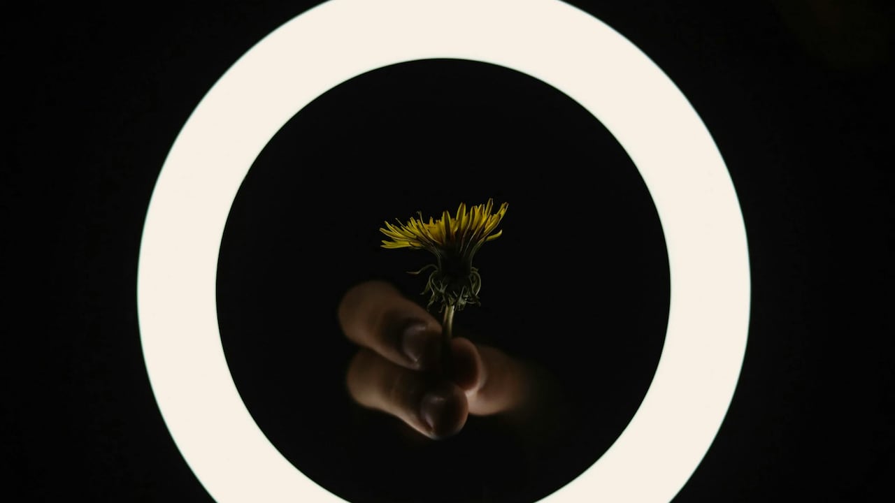 Ring light buying guide for beginners