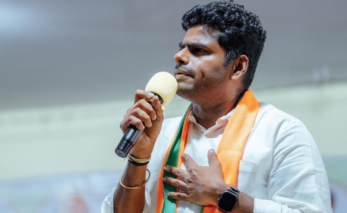 K Annamalai, Ex-BJP Tamil Nadu Chief, Denied Poll Ticket? What He Said