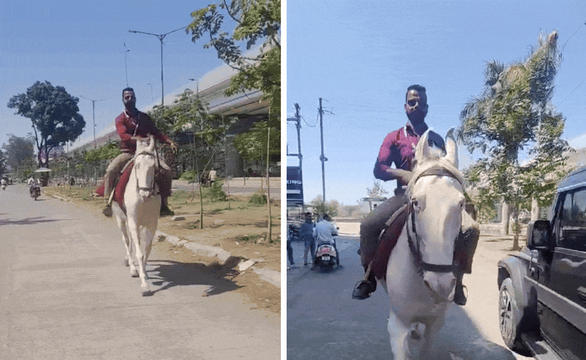 Video: पेट्रोल नहीं मिला तो बुलेट बाइक छोड़ घोड़े से ऑफिस पहुंचा बैंक कर्मचारी, मुश्किल में फंस सकता है