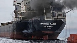 "Deplore Targeting Of Commercial Shipping": India On Hormuz Ship Attack