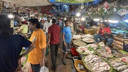 Bengal Politics Turns Salty As Fish Takes Centrestage In Trinamool-BJP Fight