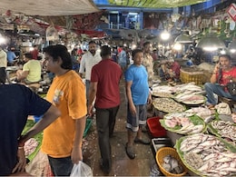 Bengal Politics Turns Salty As Fish Takes Centrestage In Trinamool-BJP Fight