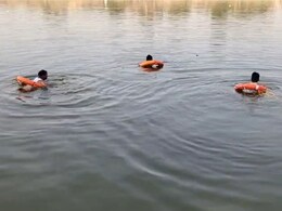 Paithan News: भक्तीचा विसावा घेताना काळाचा घाला; गोदावरीत बुडून वारकऱ्याचा मृत्यू, पैठणमधील घटना