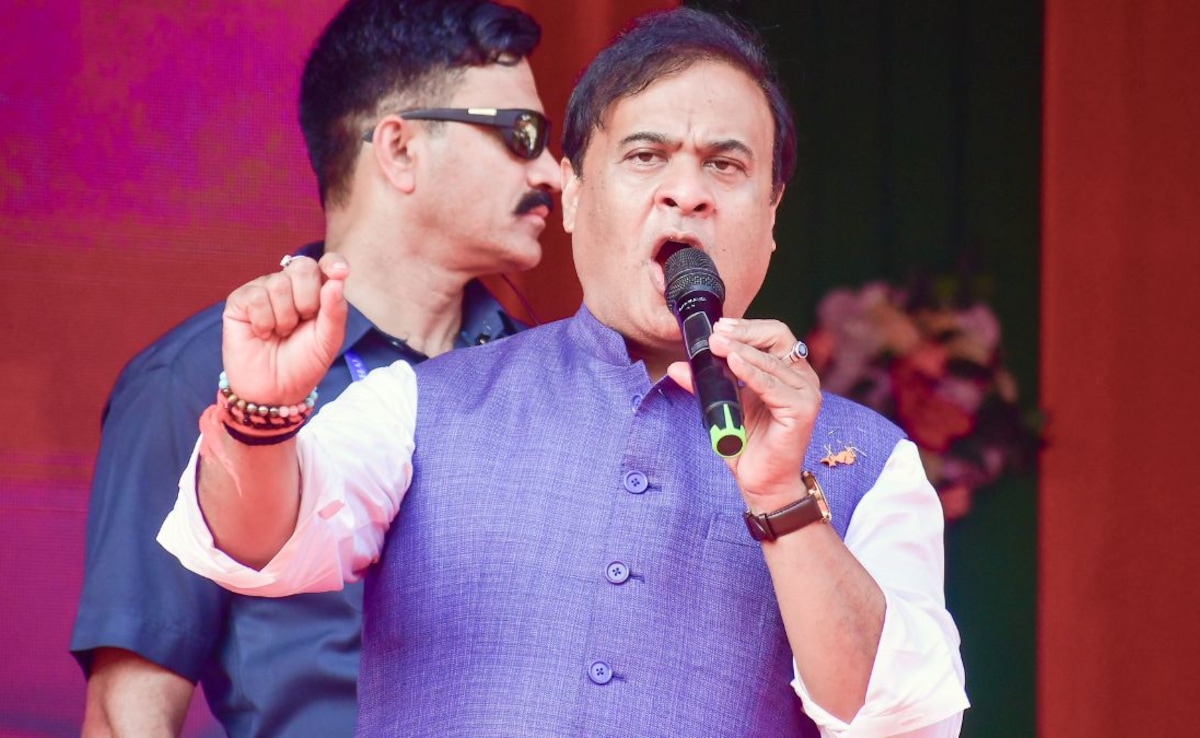 Bulldozer Action In 5 Lakh Bighas: Himanta Sarma's Big Assam Poll Promise