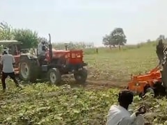 हरियाणा और यूपी के किसानों के बीच विवाद फिर गरमाया, 50 बीघा सब्जी की फसल पर चला ट्रैक्टर