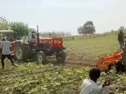हरियाणा और यूपी के किसानों के बीच विवाद फिर गरमाया, 50 बीघा सब्जी की फसल पर चला ट्रैक्टर