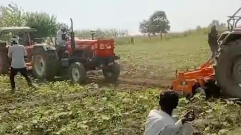 हरियाणा और यूपी के किसानों के बीच विवाद फिर गरमाया, 50 बीघा सब्जी की फसल पर चला ट्रैक्टर