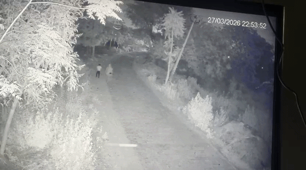 नाना के घर आए थे इशांत और जैद... तीनों को तेज रफ्तार THAR ने कुचला, CCTV में कैद हुआ गुरुग्राम का दर्दनाक हादसा