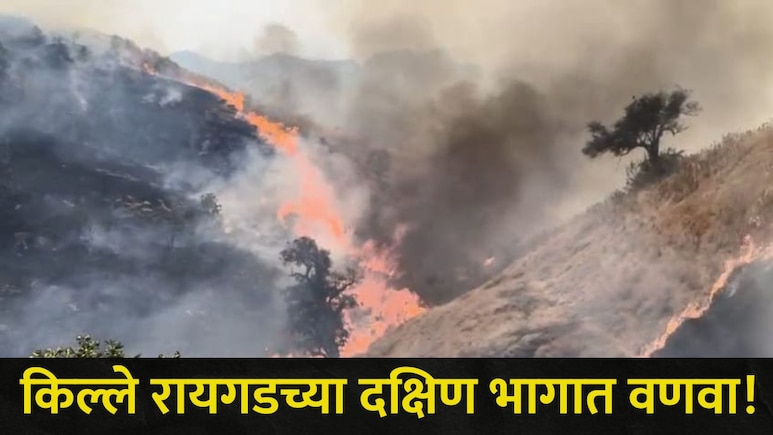 Raigad News: शिवप्रेमींसाठी दु:खद बातमी! किल्ले रायगडच्या 'या' भागाला लागली आग, वणवा पसरला अन् पुढं जे घडलं..