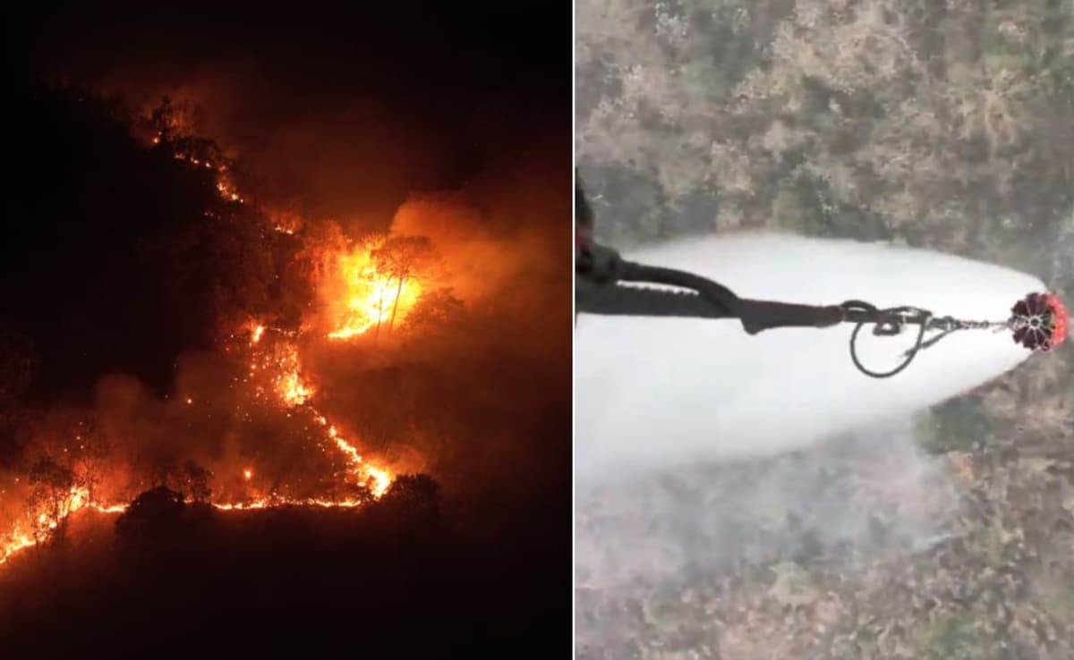 The Art of Baking: From Classic Bread to Artisan Pastries